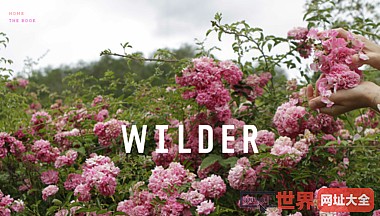 美国TheWilder植物季刊杂志