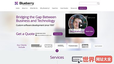 软件开发英国开发商蓝莓顾问